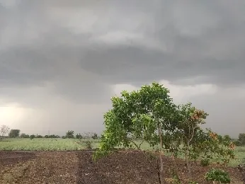 Cover of पहिला पाऊस