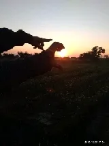 Cover of कवी से कविता तक