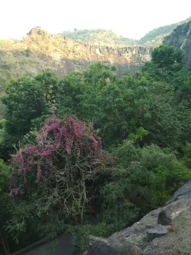 Cover of राधिका